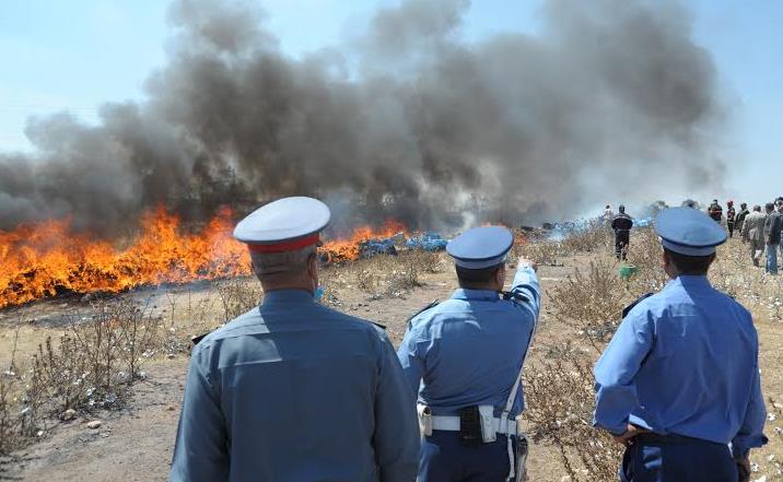 Destruction à Tanger  de drogues  et de produits illicites
