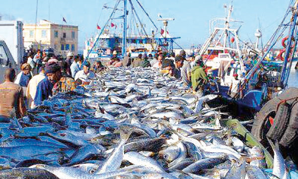 Maroc-UE Deux rendez-vous cruciaux pour l’accord de pêche