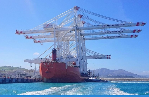 Port Tanger Med II Second arrivage de Grues Géantes