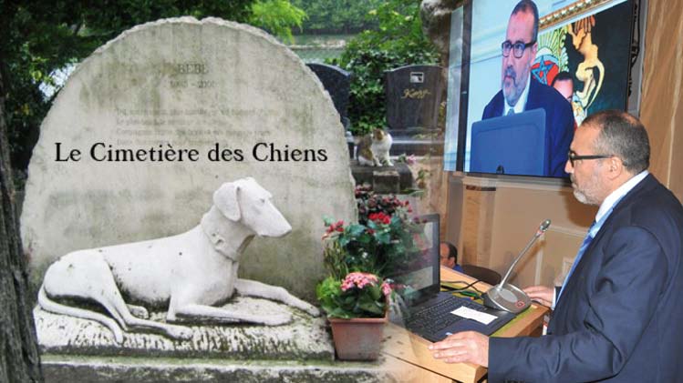 Le maire Abdellaoui  tire sa fierté d’abord du fait que Tanger possède un « superbe cimetière … pour chiens !!! »
