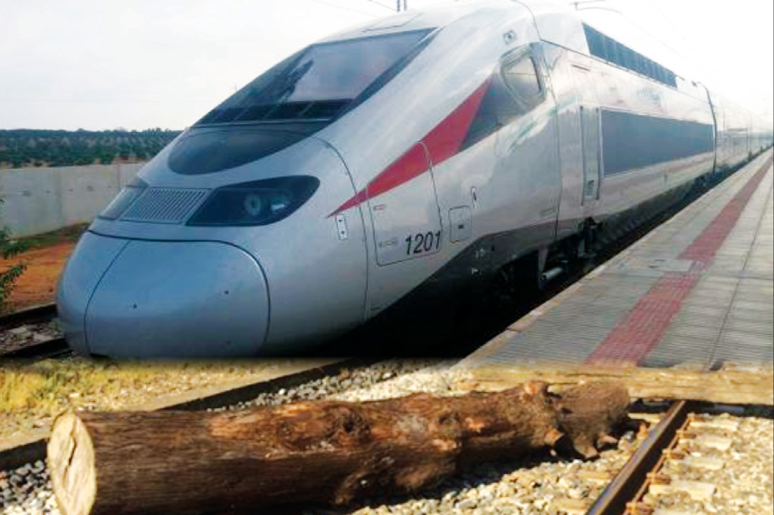 Il a tenté de faire dérailler le TGV pour venger la mort accidentelle de son frère