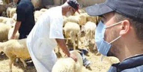 Mesures spéciales pour l’Aïd Al Adha