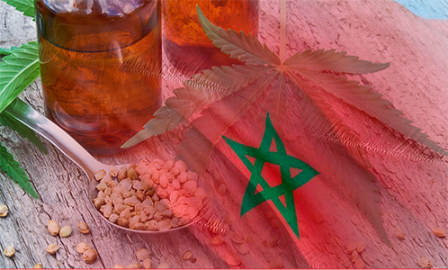 Vers une légalisation de la culture du cannabis? L&rsquo;autre aspect thérapeutique du Cannabis !