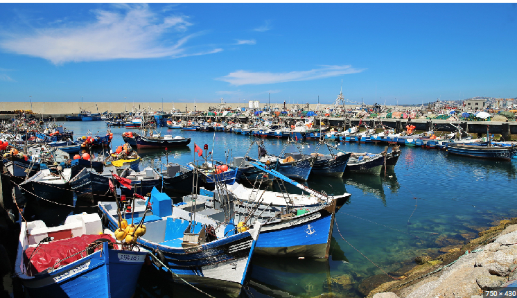 Une délégation africaine visite la Chambre des pêches maritimes de la Méditerranée à Tanger