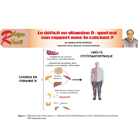 Le déficit en vitamine D : quel est son rapport avec le calcium ?