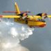 L’ANEF renforce son parc par un 7ème Canadair