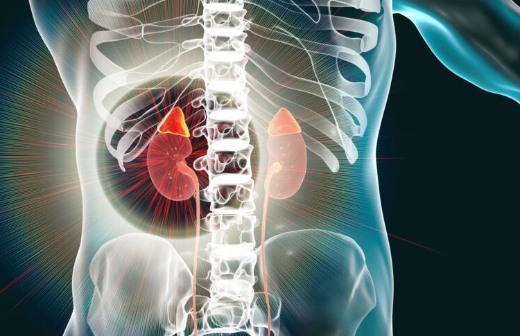 UNE HYPERTENSION ARTERIELLE RESISTANTE A TOUS LES TRAITEMENTS : PROBLEME DES GLANDES SURRENALES ? LE ROLE DU STRESS ?