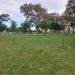 Les espaces verts, entre l’usage et le non usage