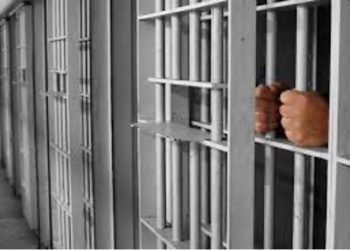 Une personne condamnée pour usurpation d’identité d’un agent de sécurité.
