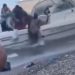 Des centaines de migrants franchissent la frontière maritime de Ceuta à la nage depuis Medi’q, une honte