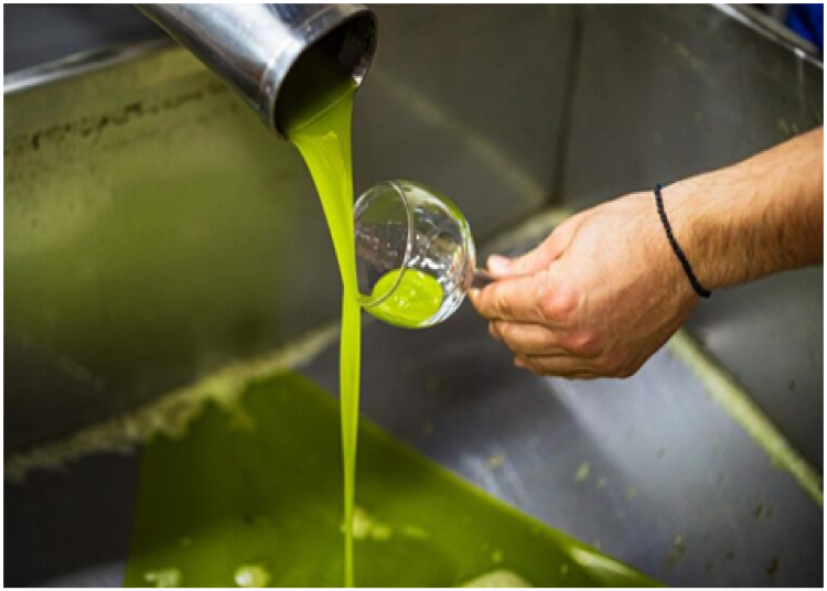 Quatre tonnes d’huile d’olive saisies à Dar Ould Zidouh