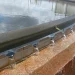 Région de Tanger-Tétouan-Al Hoceima: Des projets pour assurer la réserve de l’eau potable et contrecarrer le stress hydrique