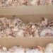 saisi d’importantes cargaisons de viande de poulet hachée à Larache