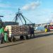 Les professionnels au port de Larache appellent à la modernisation du transport des produits de la pêche sur le quai